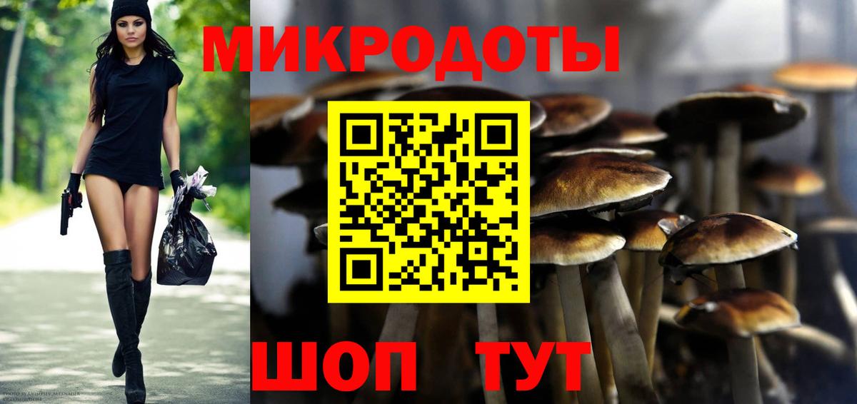 Галлюциногенные грибы Cubensis Мыски